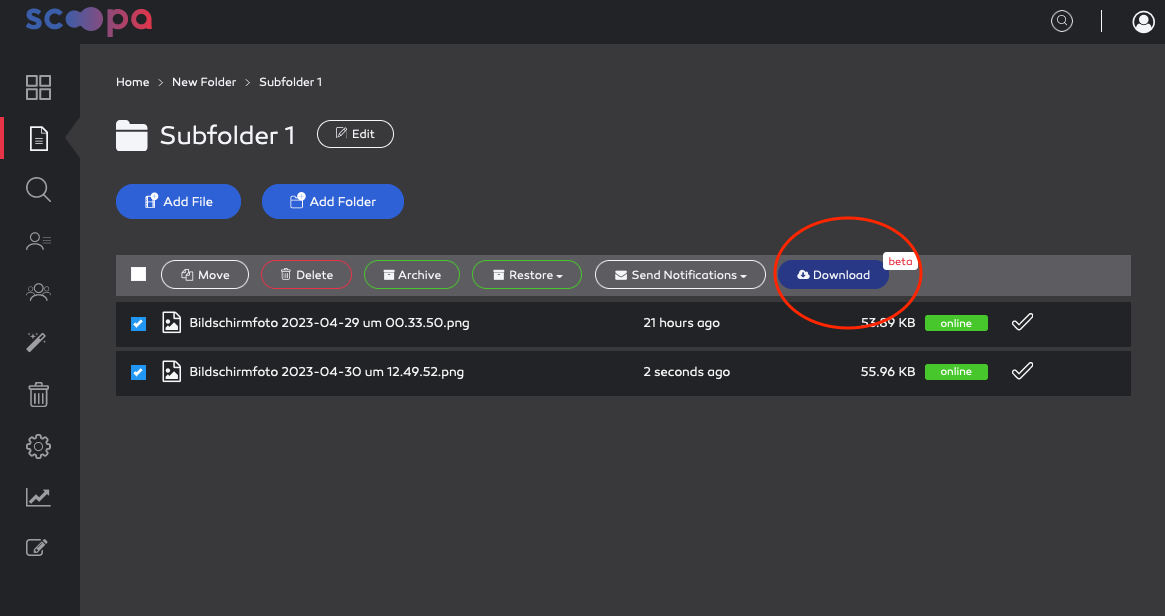 Folder listing with selected files and highlighted download-button.