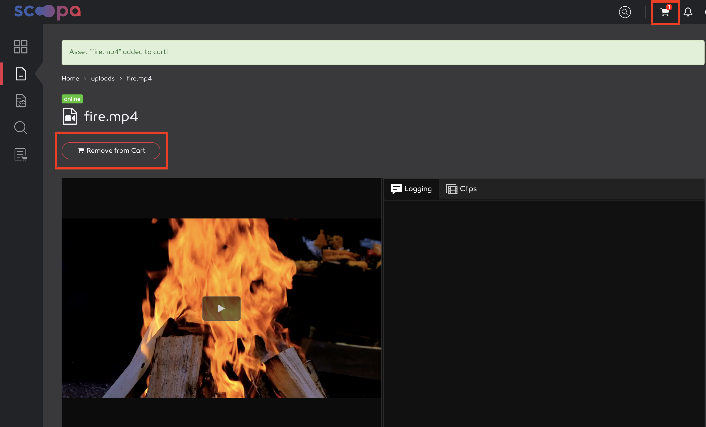 asset added to cart.