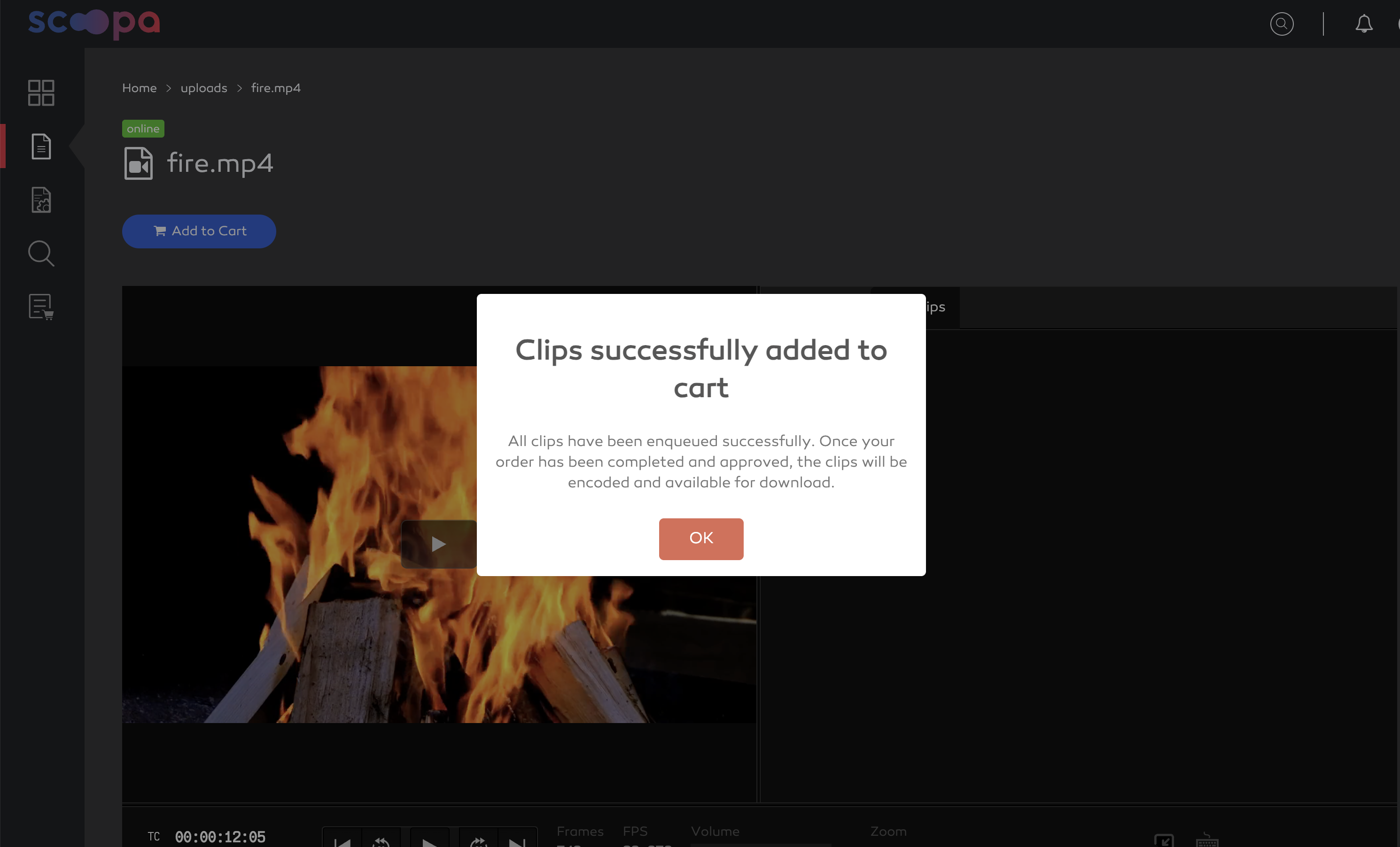 clips successfully added to cart.
